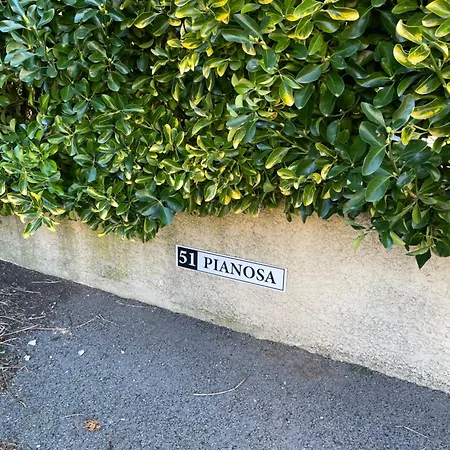 Avec Piscine Appartement Sisco