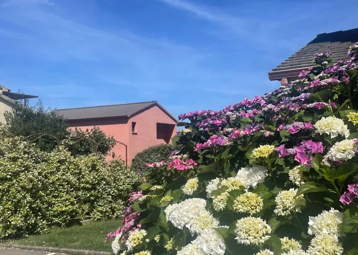 Avec Piscine * Sisco