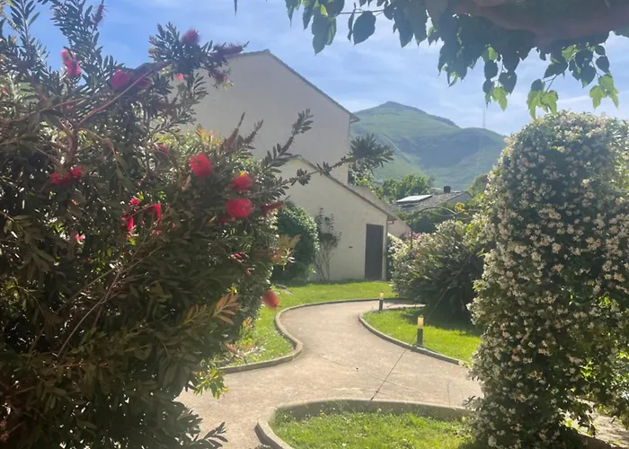 Avec Piscine Appartement Sisco