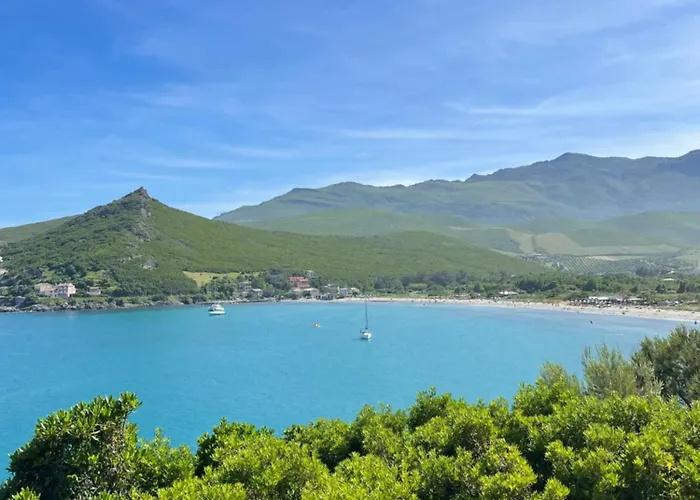 Avec Piscine Appartement Sisco