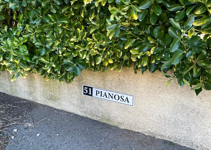 Avec Piscine Appartement Sisco