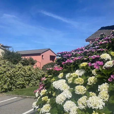 Avec Piscine * Sisco