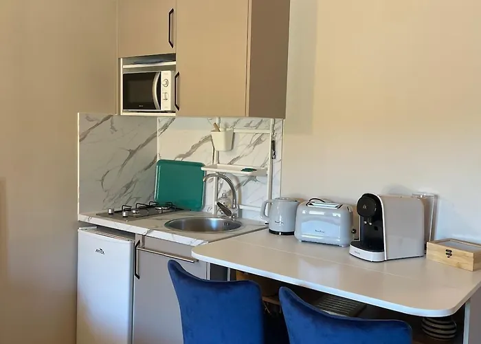 Avec Piscine Appartement Sisco