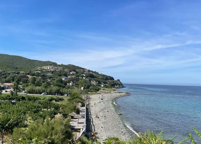 Avec Piscine Appartement